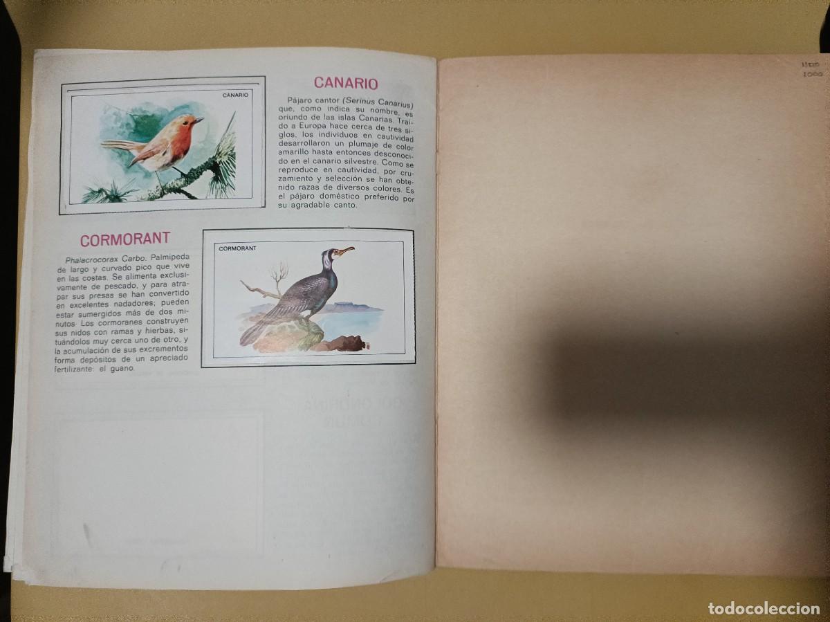 Coleccionismo &aacute;lbumes: pajaros - Foto 3