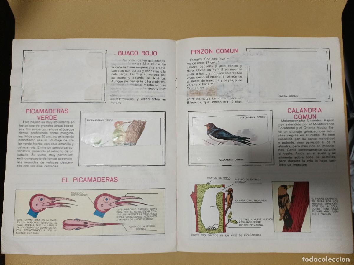 Coleccionismo &aacute;lbumes: pajaros - Foto 5