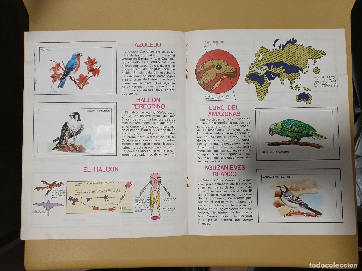 Coleccionismo &aacute;lbumes: pajaros - Foto 6