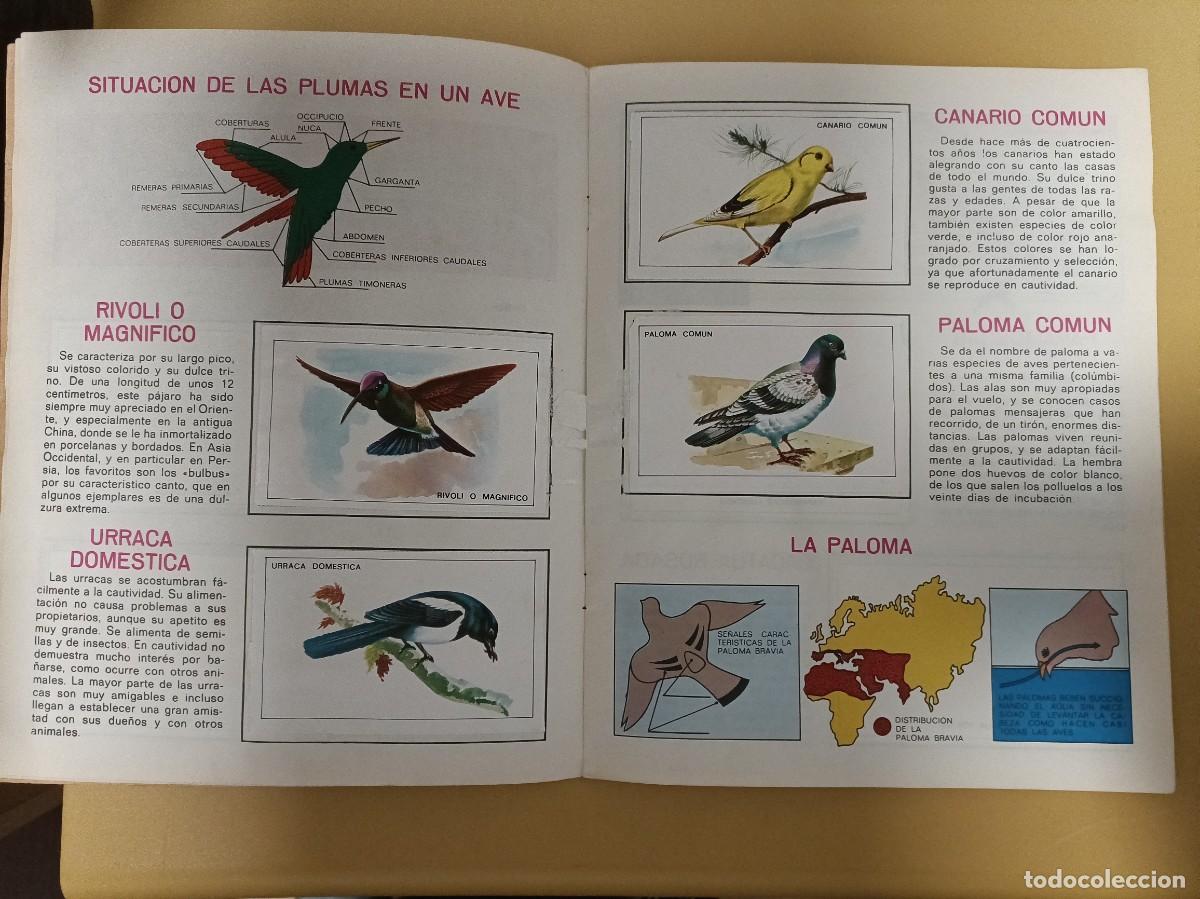 Coleccionismo &aacute;lbumes: pajaros - Foto 7