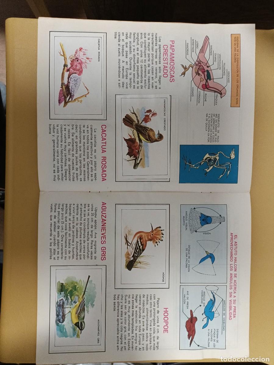 Coleccionismo &aacute;lbumes: pajaros - Foto 9