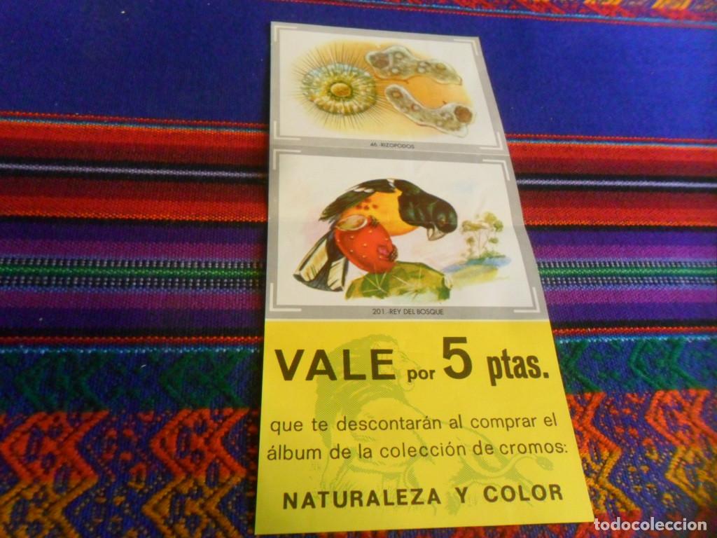 Colecionismo Cadernetas: VALE 5 PTS Y NATURALEZA Y COLOR INCOMPLETO FALTAN 53 CROMOS DE 380. CAREN A&Ntilde;OS 80.