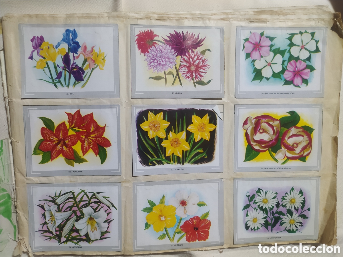 Coleccionismo &aacute;lbumes: &Aacute;lbum vida y color - Foto 3