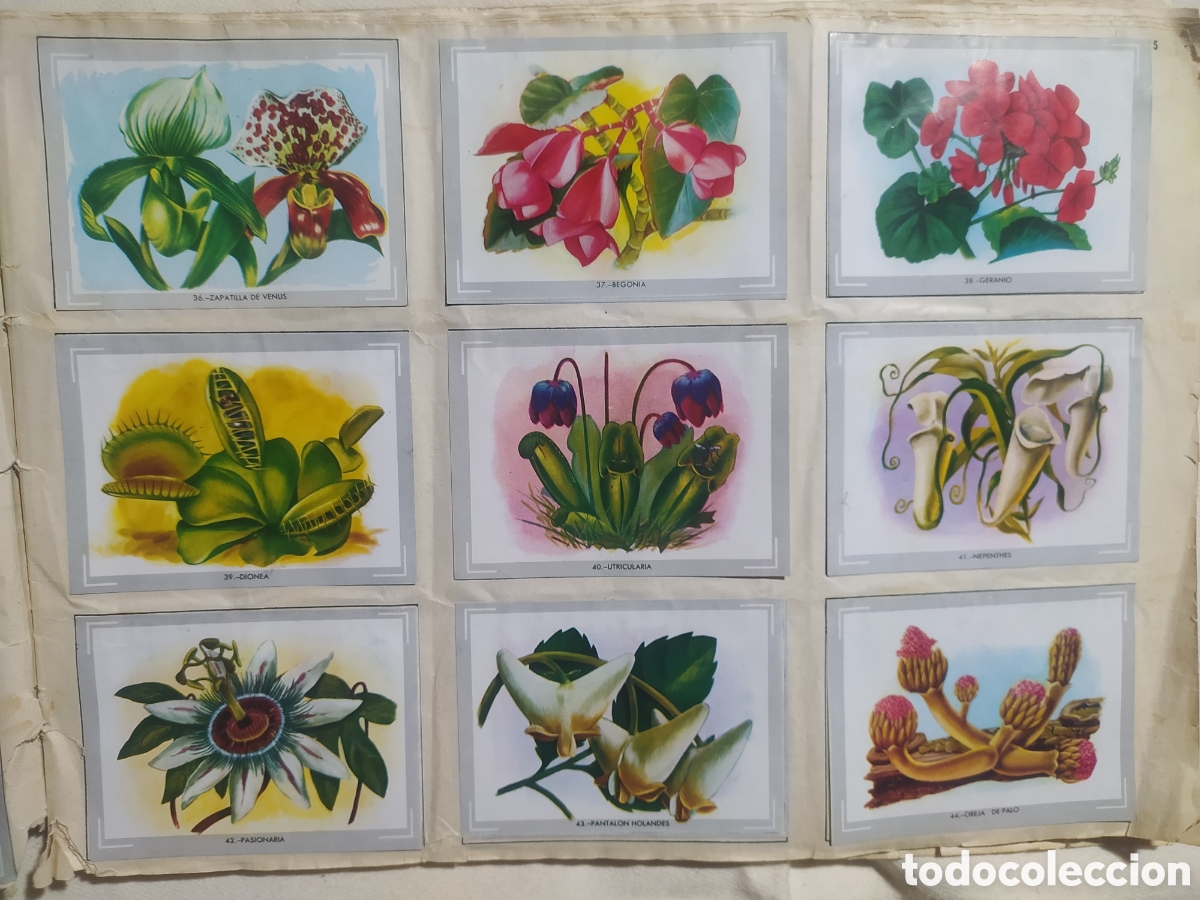 Coleccionismo &aacute;lbumes: &Aacute;lbum vida y color - Foto 4