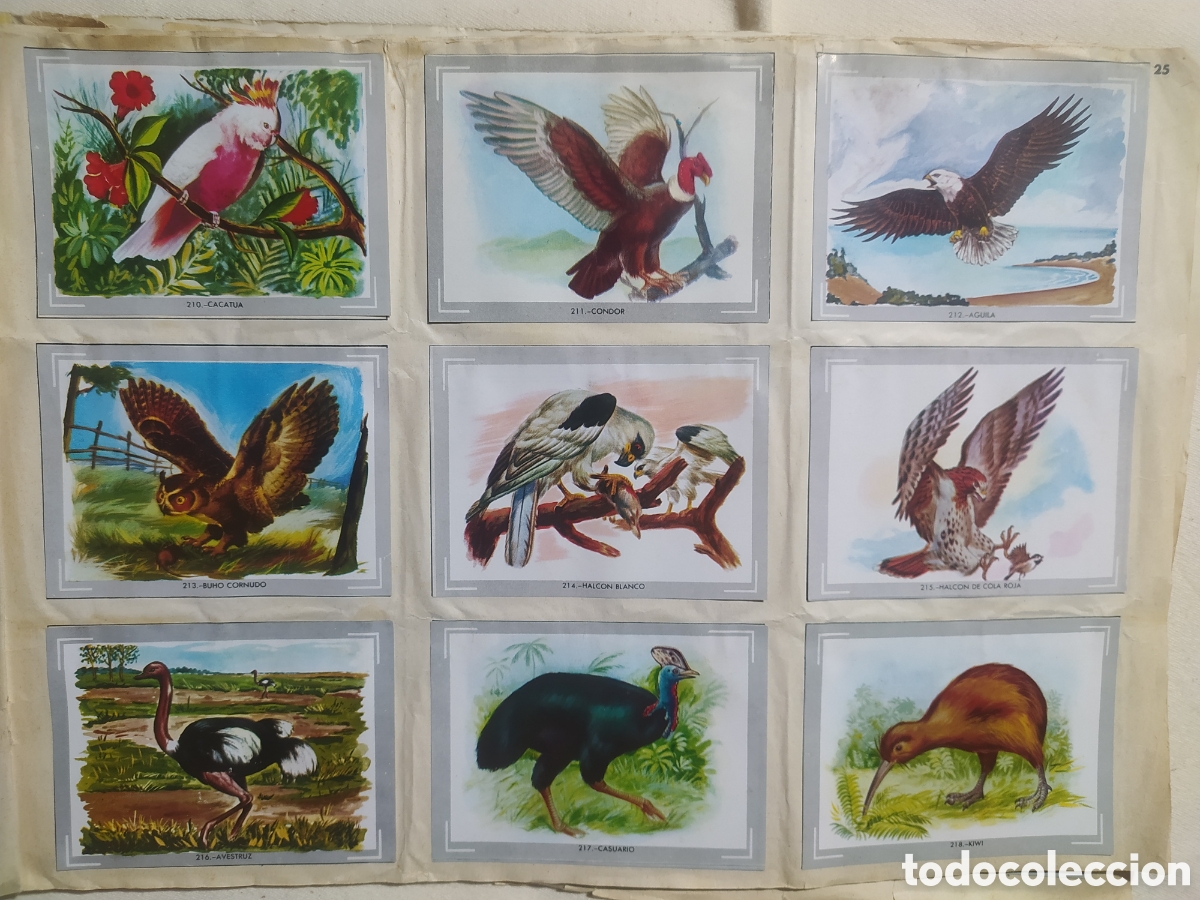 Coleccionismo &aacute;lbumes: &Aacute;lbum vida y color - Foto 13