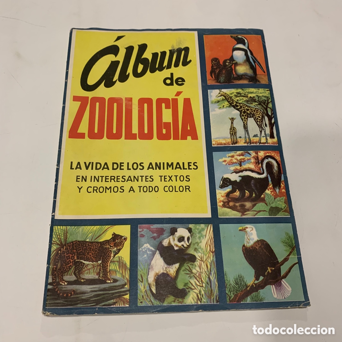 Collectable Incomplete Albums: &Aacute;lbum de cromos nuevo vac&iacute;o zoolog&iacute;a chocolate surroca