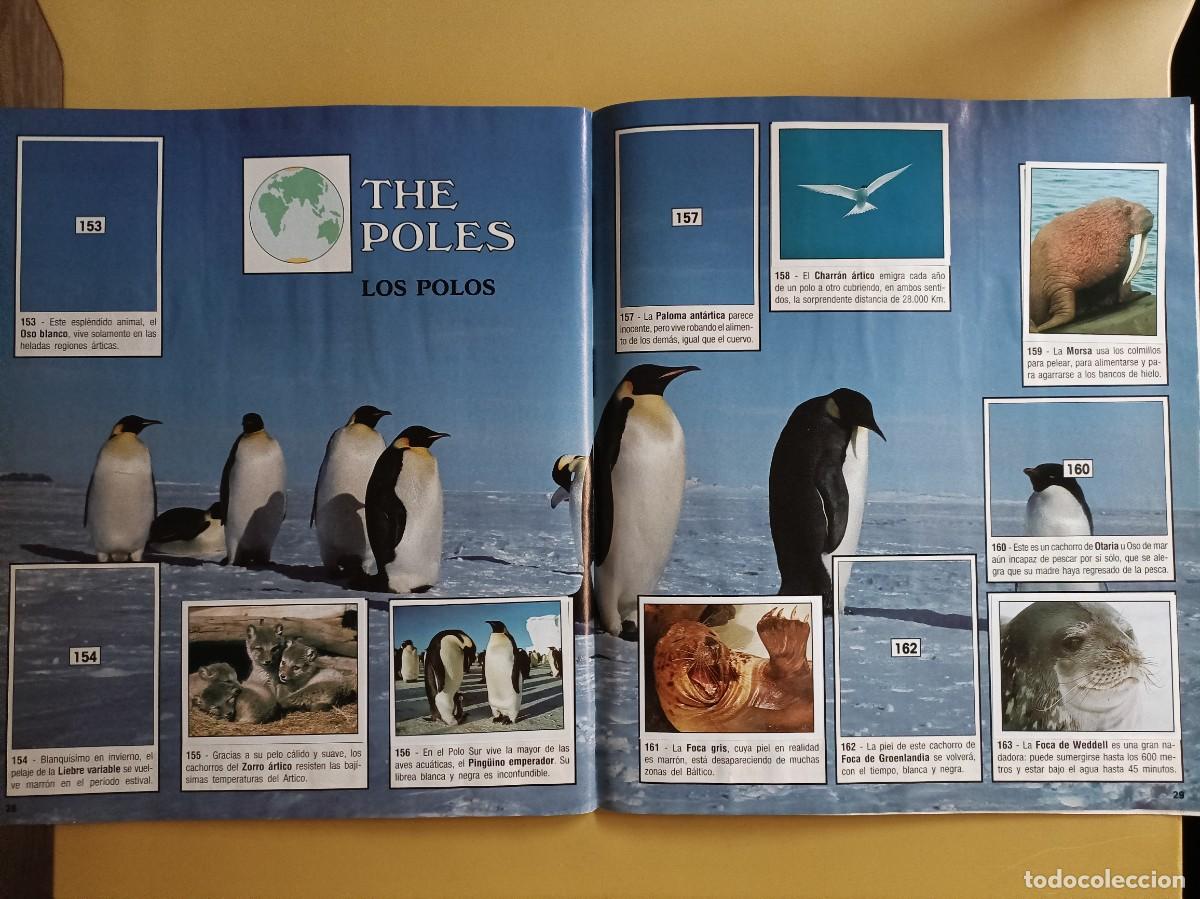 Coleccionismo &aacute;lbumes: animales del mundo - Foto 4