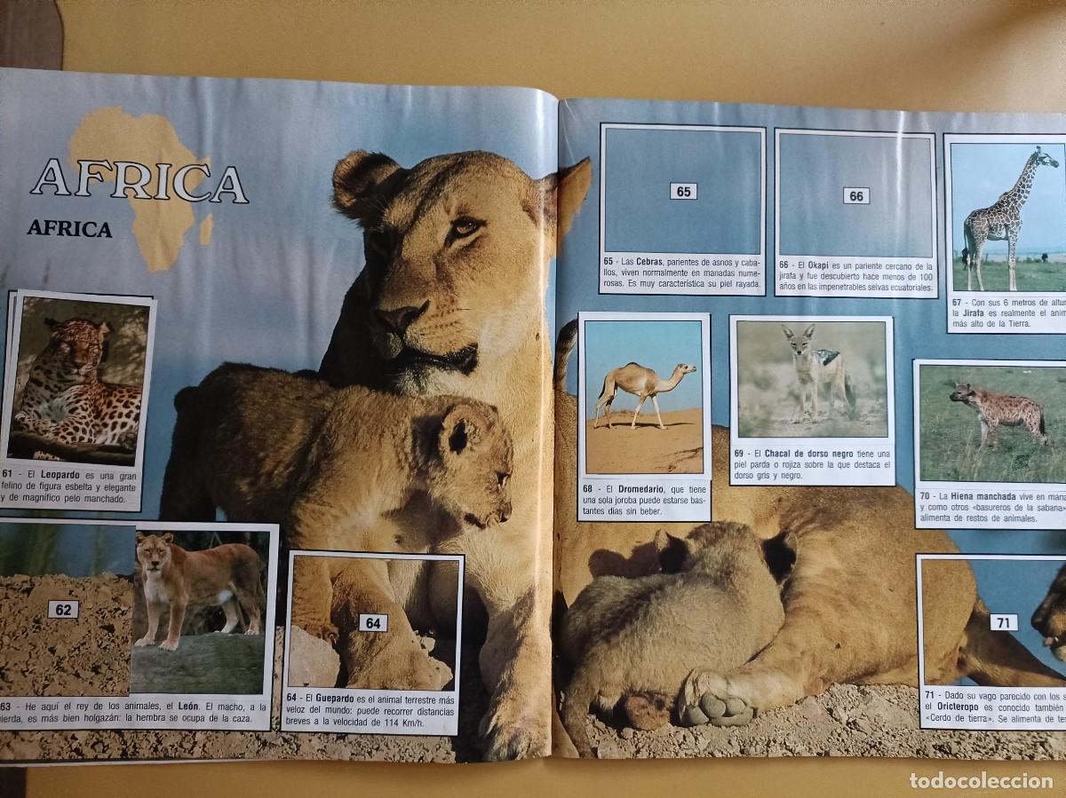 Coleccionismo &aacute;lbumes: animales del mundo - Foto 8