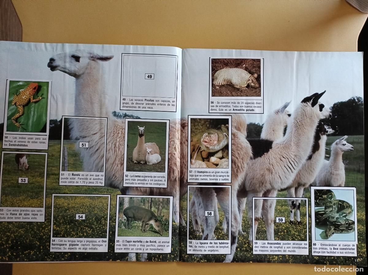 Coleccionismo &aacute;lbumes: animales del mundo - Foto 9