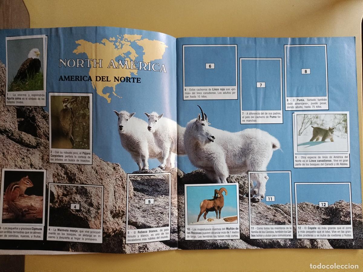 Coleccionismo &aacute;lbumes: animales del mundo - Foto 11