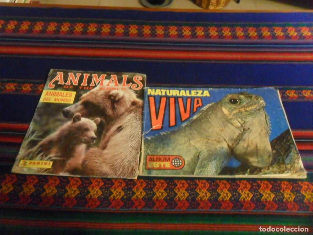 Colecionismo Cadernetas: NATURALEZA VIVA INCOMPLETO CON 20 DE 144 CROMOS ESTE 1972. REGALO ANIMALS OF THE WORLD PANINI