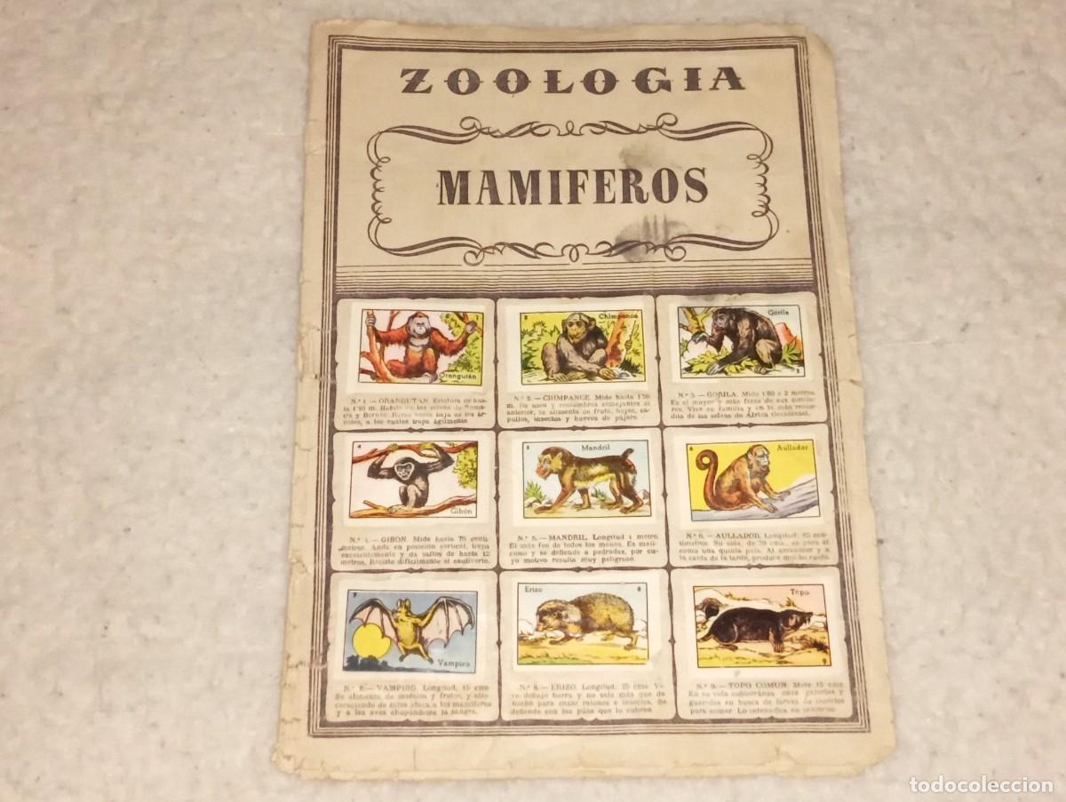 Collezionismo Album: ANTIGUO ALBUM DE CROMOS ZOOLOGIA MAMIFEROS CROMOS CULTURA EDITORIAL BRUGUERA A&Ntilde;OS 40