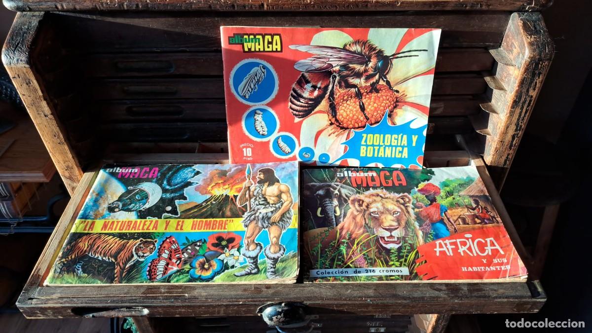 Colecionismo Cadernetas: Lote 3 &Aacute;lbum Maga &Aacute;frica ..., Zoolog&iacute;a y ... y La Naturaleza y el Hombre