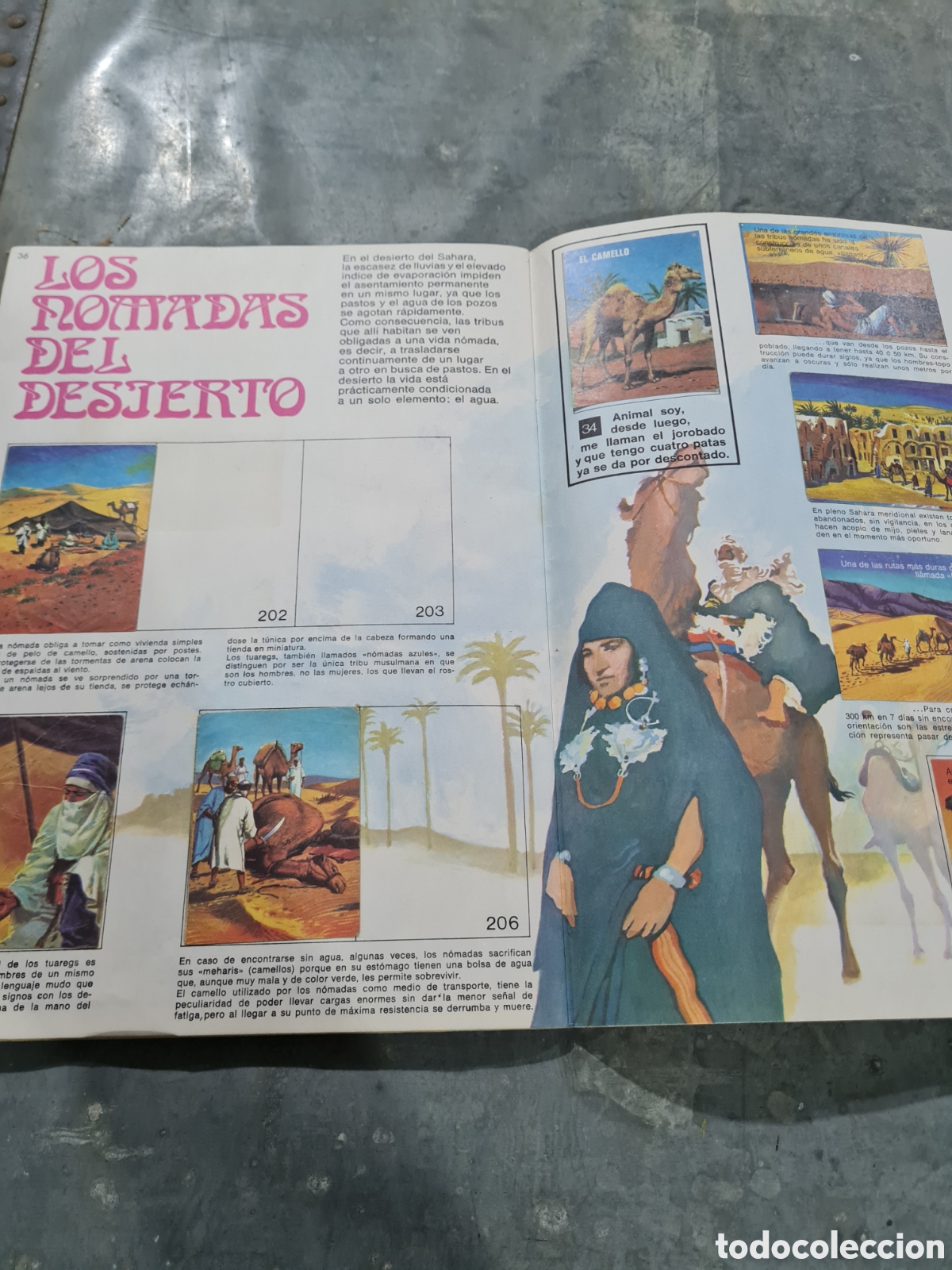 Coleccionismo &aacute;lbumes: El libro de las adivinanzas 2 - Foto 4
