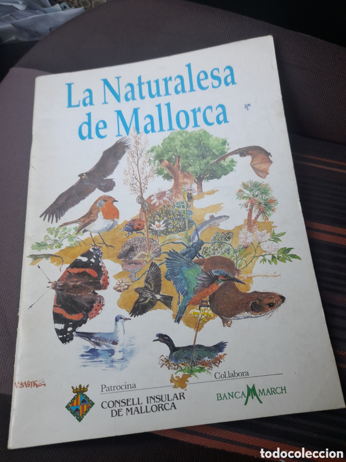 Colecionismo Cadernetas: &Aacute;LBUM de cromos, La Naturaleza de Mallorca, vacio