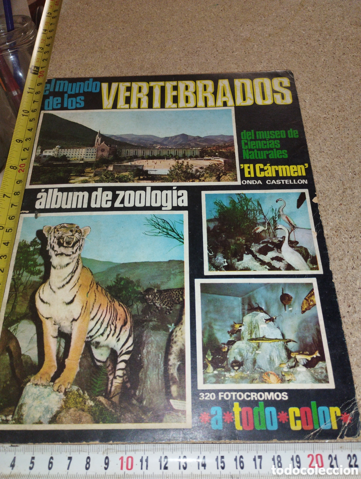 Colecionismo Cadernetas: Album vac&iacute;o de El Mundo de los Vertebrados