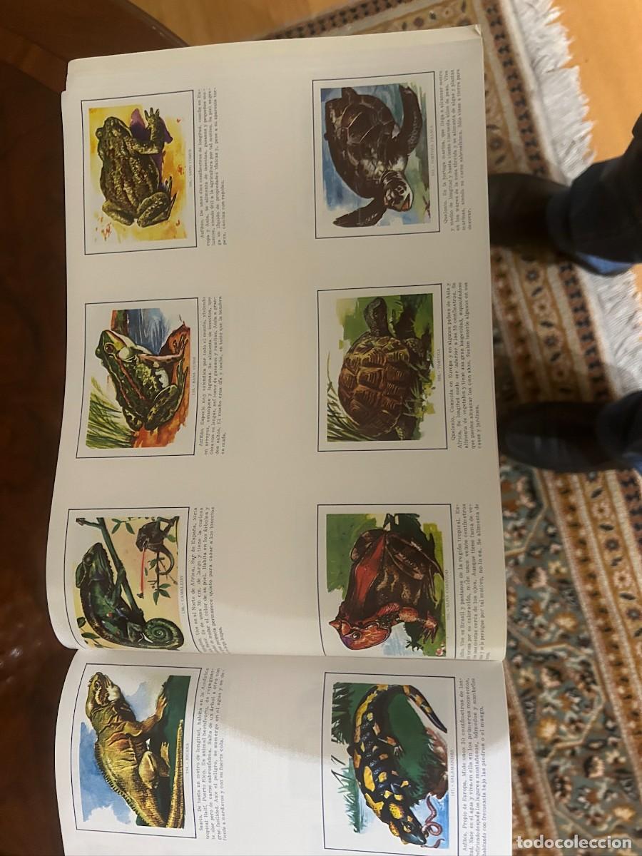 Coleccionismo &aacute;lbumes: CIENCIA Y ARTE COMPLETO - Foto 2