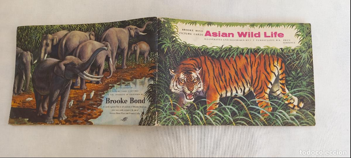 Colecionismo Cadernetas: ALBUM DE CROMOS. ASIAN WILD LIFE. BROOKE BOND PICTURE CARDS. FALTAN 5 CROMOS.