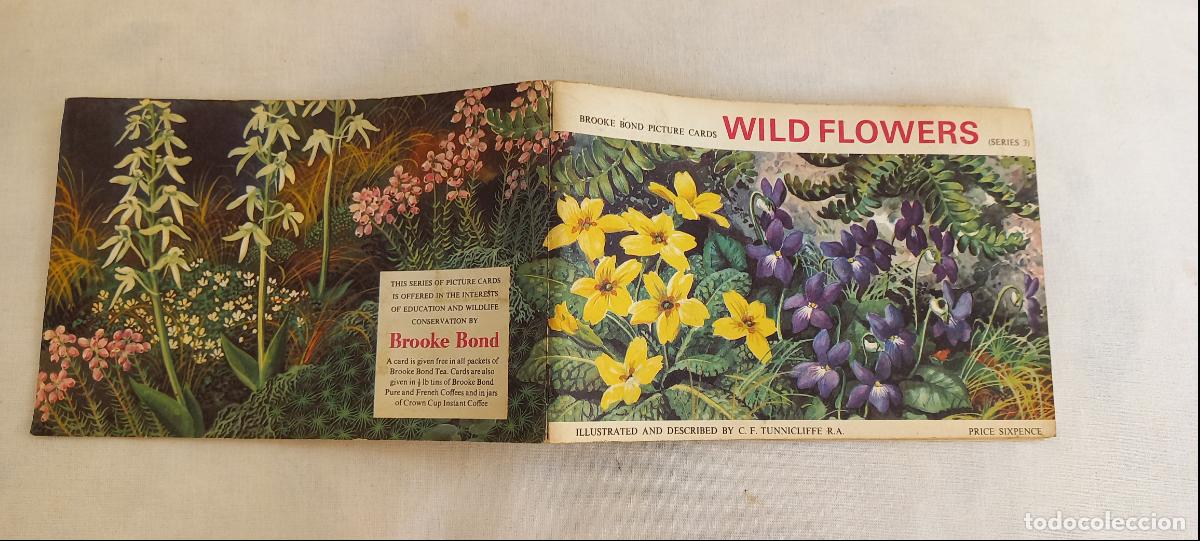 Colecionismo Cadernetas: ALBUM DE CROMOS INCOMPLETO. WILD FLOWERS. SERIES 3. BROOKE BOND PICTURE CARDS. FALTA 6 CROMOS