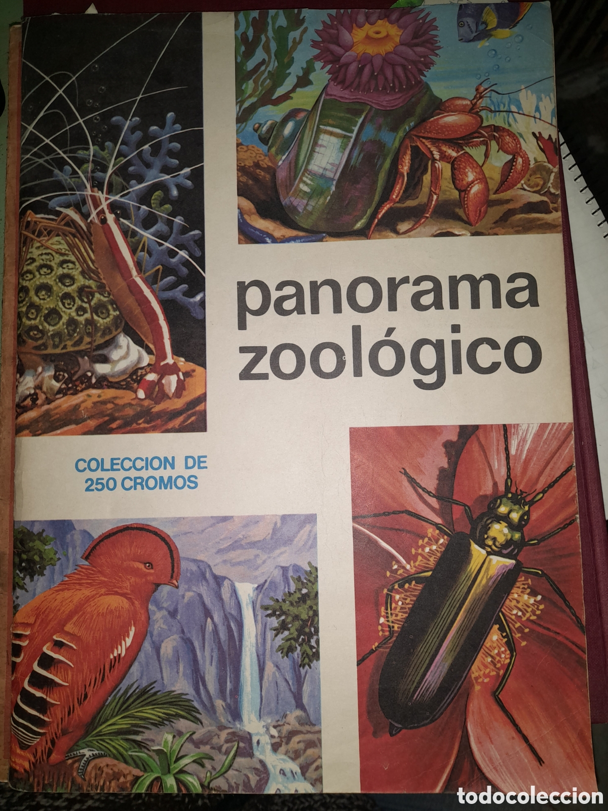 Collectionnisme Albums: Album cromos panorama ZOOLOGICO