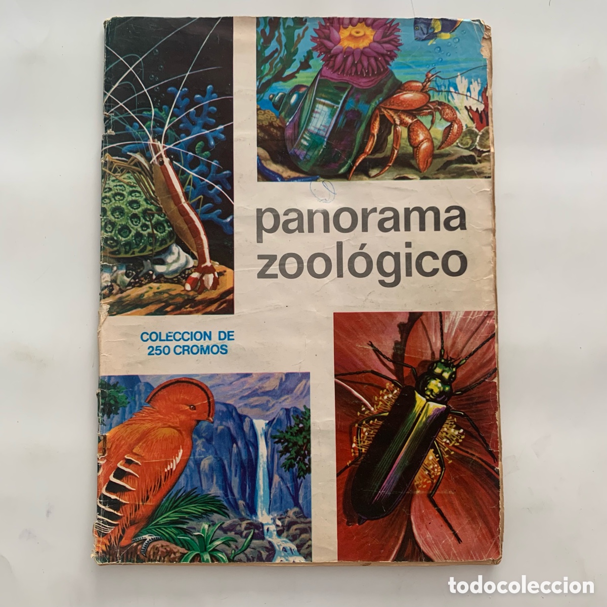 Collezionismo Album: album de cromos panorama zoologico editorial ruiz romero de 1973