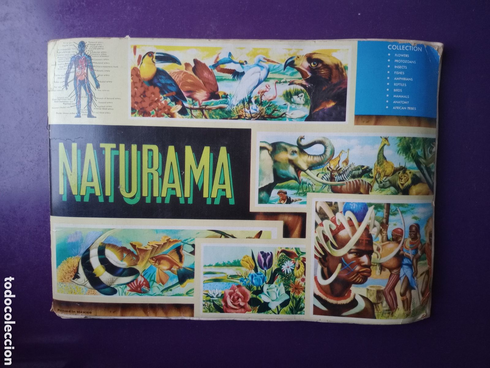 Collezionismo Album: ALBUM CROMOS NATURAMA - EDICION MEXICO 1966 - HE CONTADO QUE FALTAN 6 CROMOS