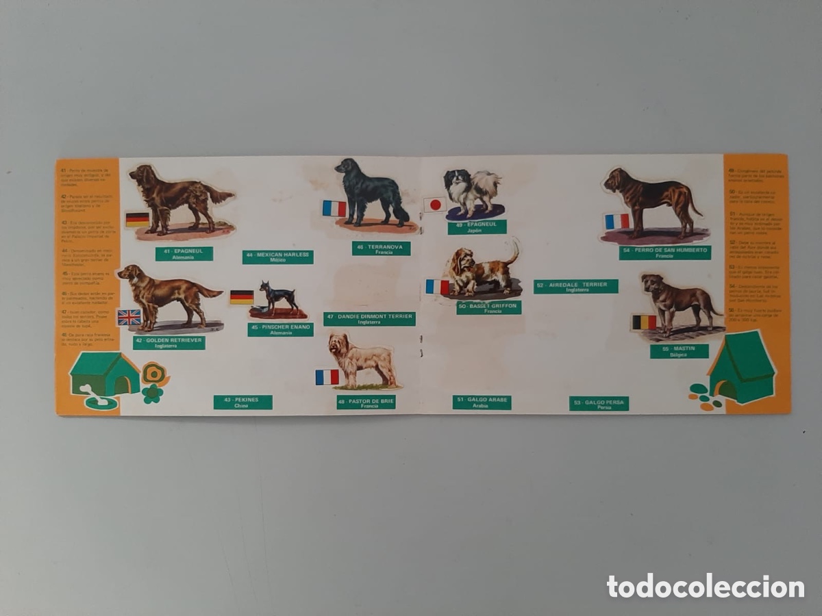 Coleccionismo &aacute;lbumes: Los perros su raza y y origen - Foto 4