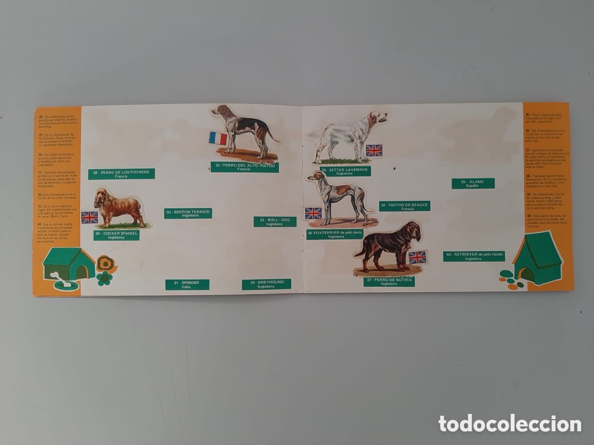 Coleccionismo &aacute;lbumes: Los perros su raza y y origen - Foto 6