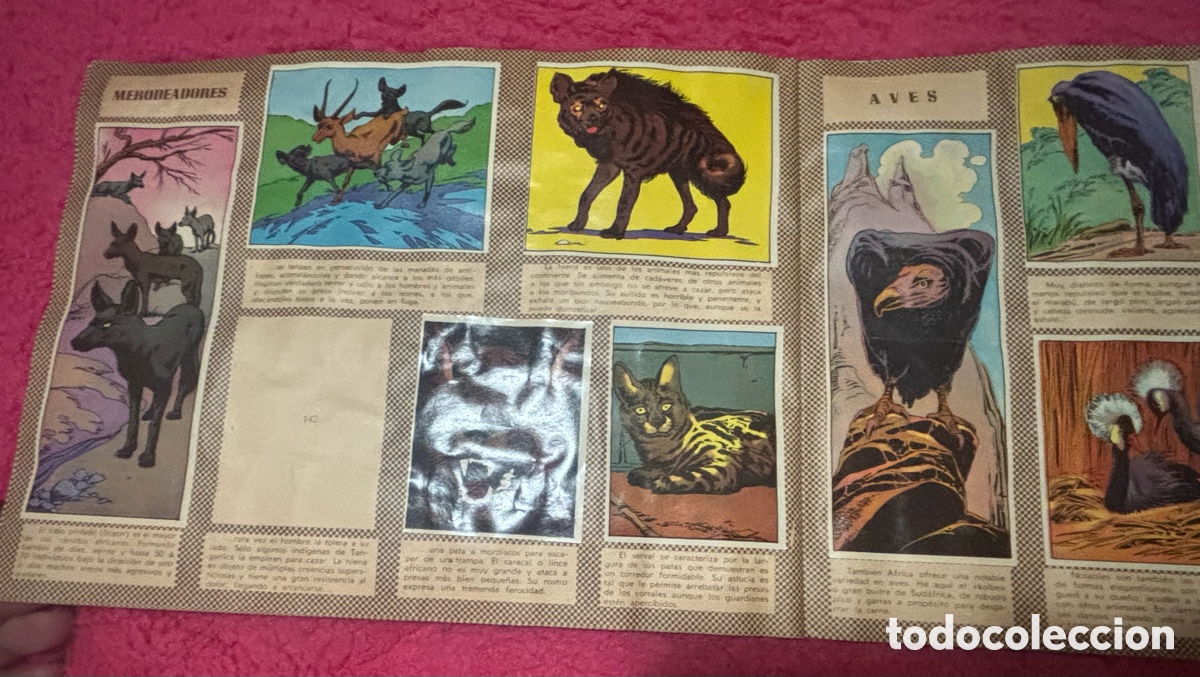 Coleccionismo &aacute;lbumes: &Aacute;lbum de cromos Maga - Foto 5
