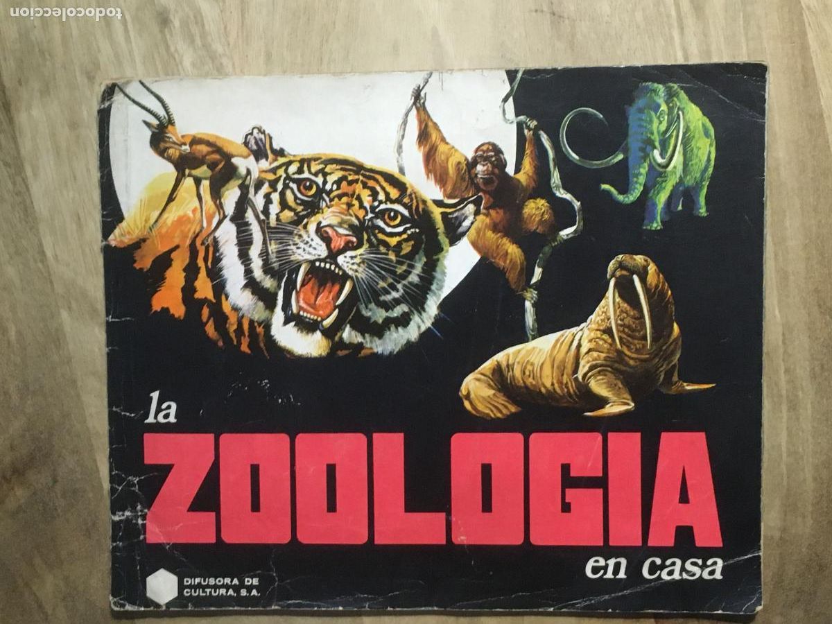 Collectionnisme Albums: la zoologia en casa album de cromos incompleto faltan 8 cromos