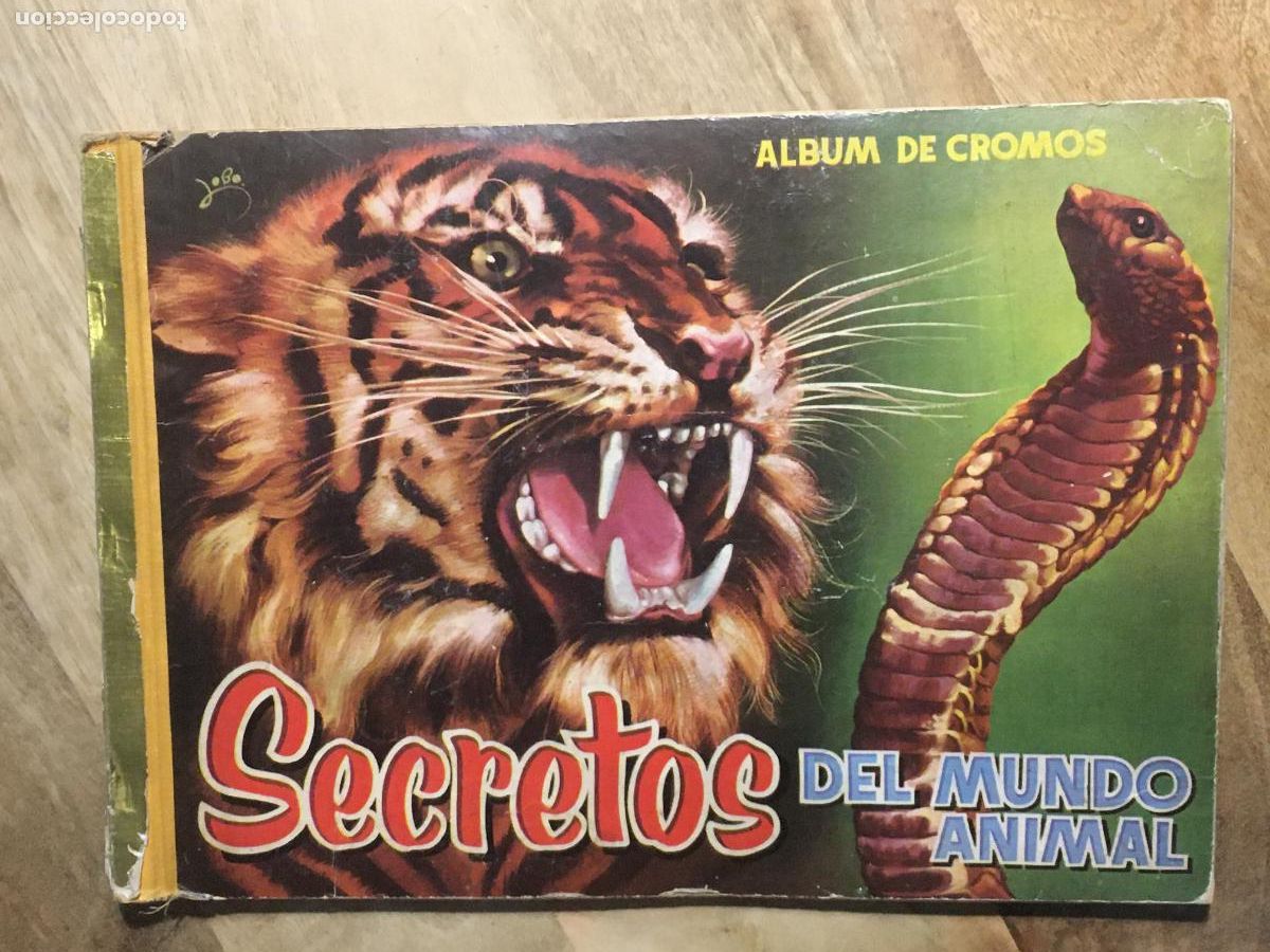 Coleccionismo &Aacute;lbumes: secretos del mundo animal album de cromos incompleto faltan 6 cromos