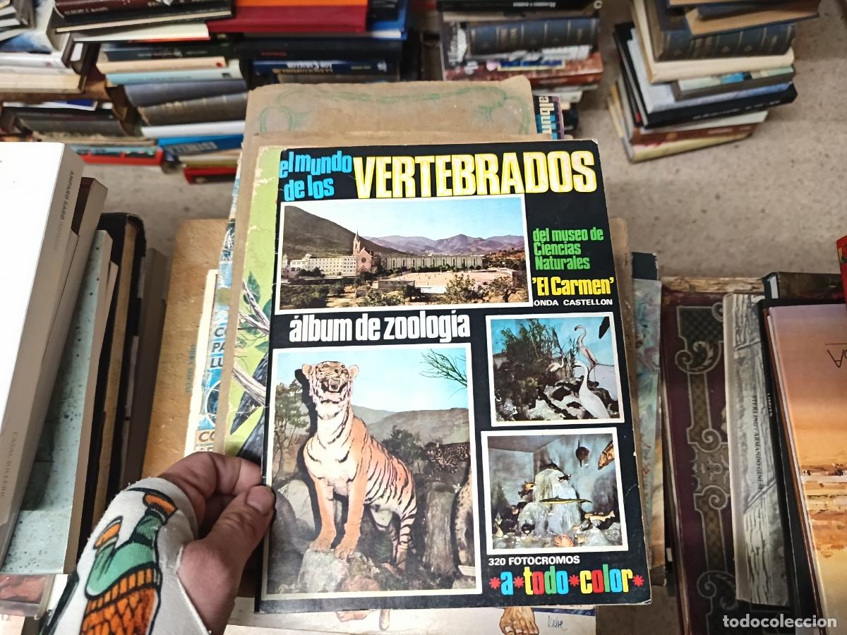 Coleccionismo &Aacute;lbumes: &Aacute;LBUM DE LOS VERTEBRADOS . &Aacute;LBUM DE ZOOLOG&Iacute;A . INCOMPLETO . ANTONIO MIRANDA . 1970 . COLED