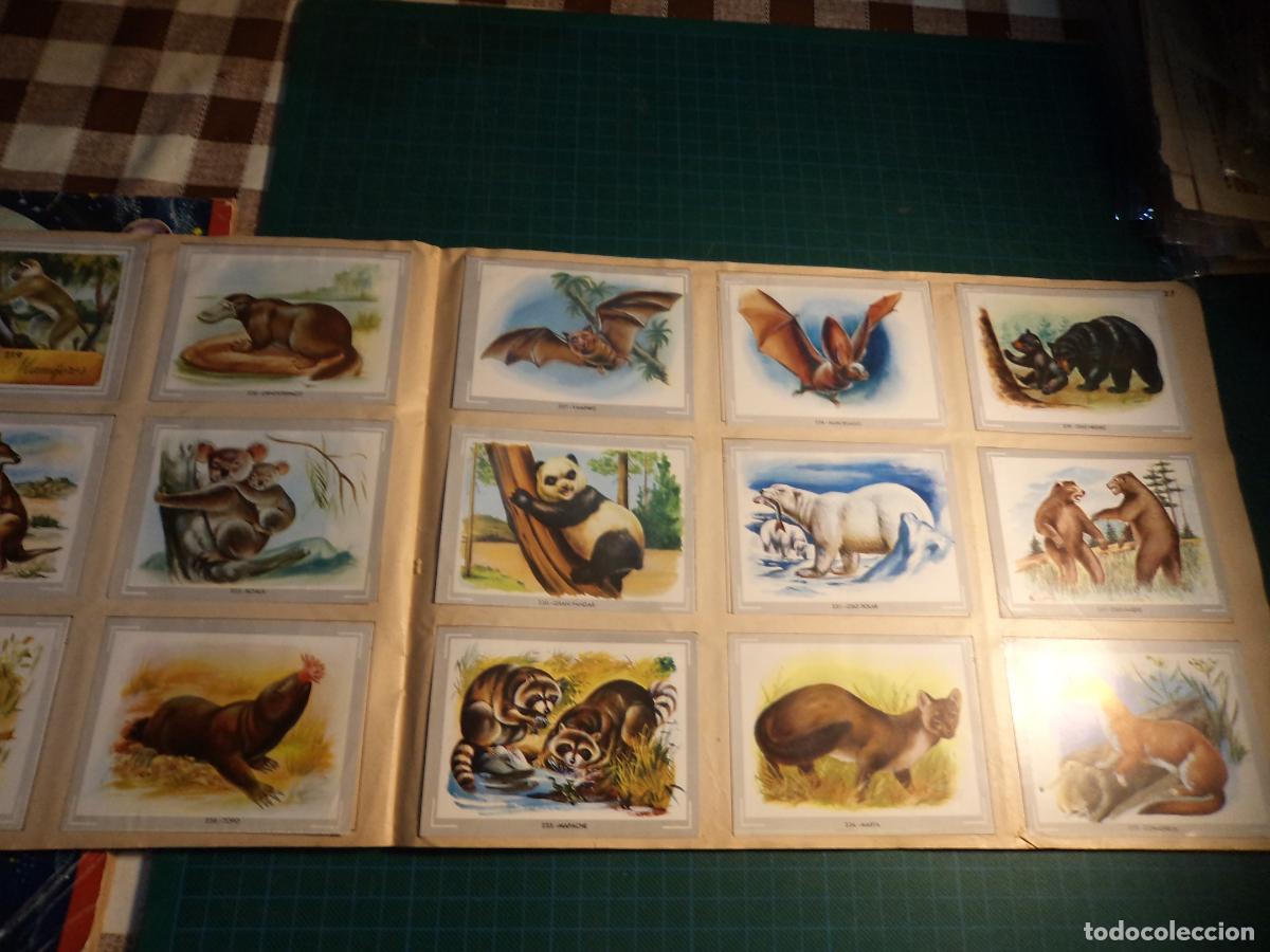 Coleccionismo &aacute;lbumes: Vida y Color. Con el 80 % de los cromos aproximadamente. - Foto 2