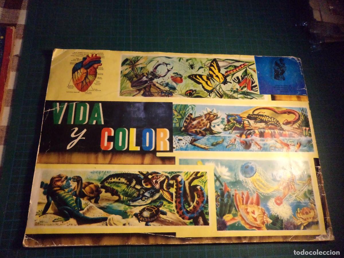 Coleccionismo &aacute;lbumes: Vida y Color. Con el 80 % de los cromos aproximadamente. - Foto 3