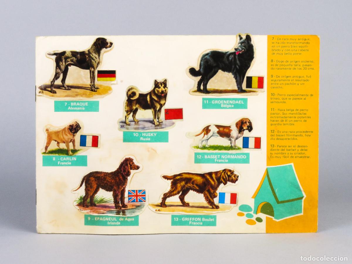 Coleccionismo &Aacute;lbumes: Los perros sus razas y su origen Panrico 1972 &aacute;lbum incompleto cromos adhesivos falta portada