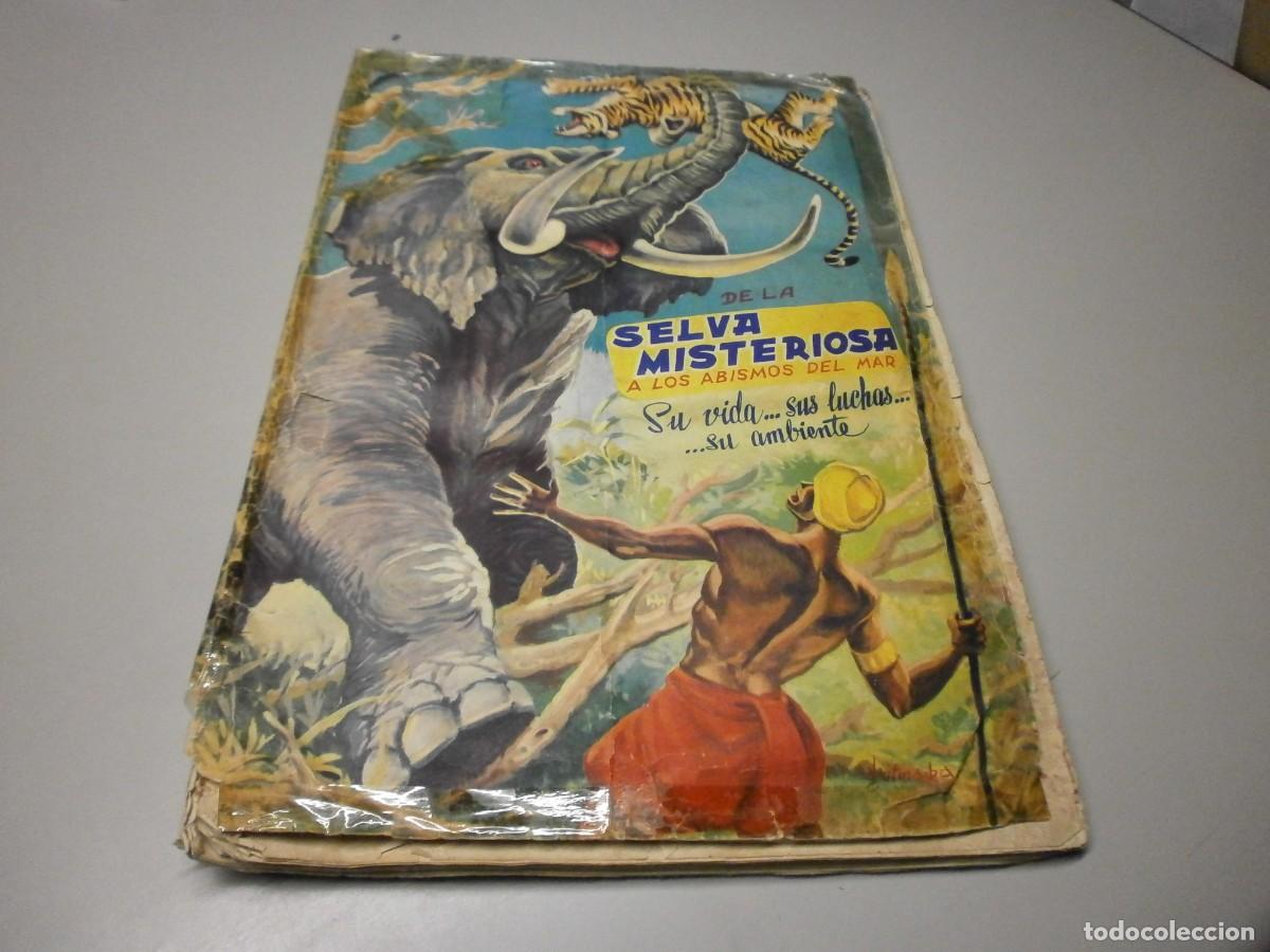 Coleccionismo &Aacute;lbumes: album selva misteriosa fher a&ntilde;os 60