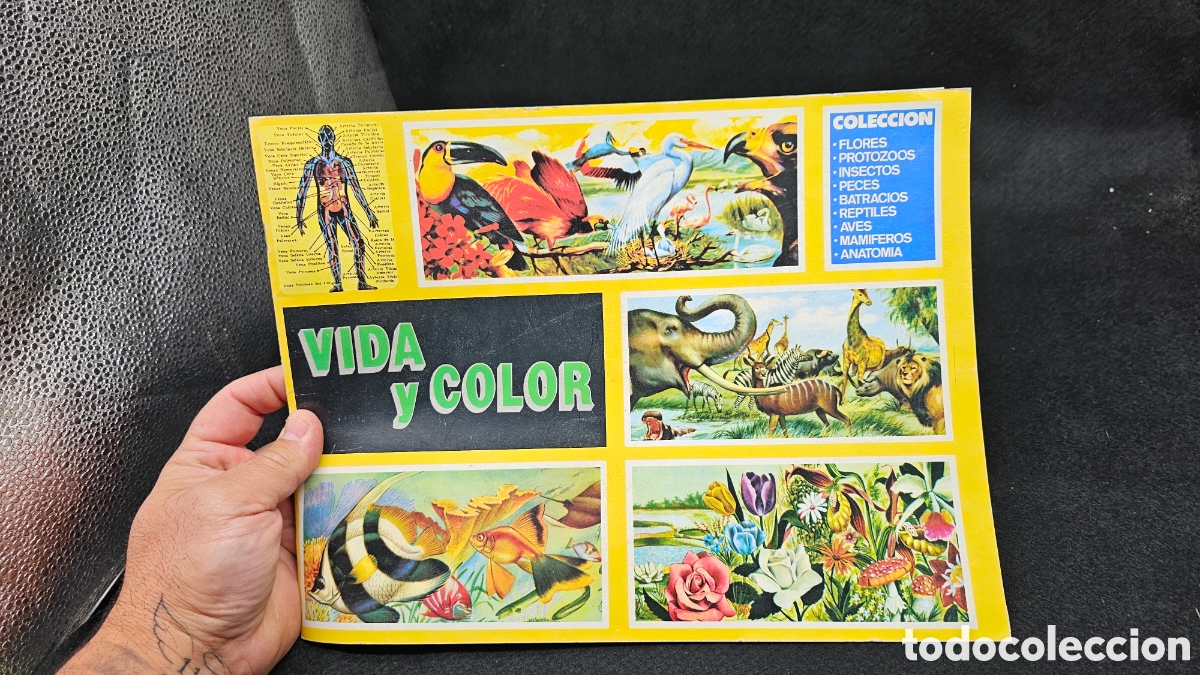 Colecionismo Cadernetas: Antiguo &aacute;lbum para cromos a estrenar VIDA Y COLOR