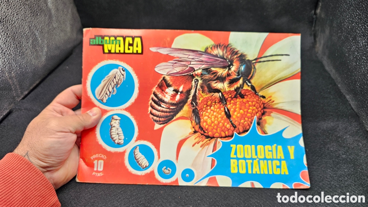 Collectable Incomplete Albums: Antiguo &aacute;lbum de cromos zoolog&iacute;a y bot&aacute;nica ( Incompleto)