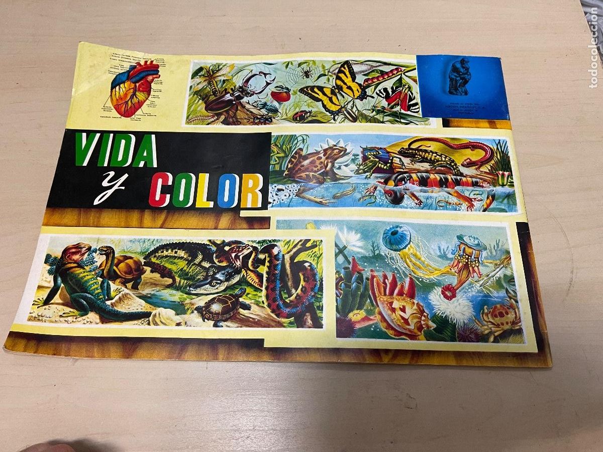 Coleccionismo &Aacute;lbumes: &Aacute;LBUM PLANCHA VIDA Y COLOR A&Ntilde;Os 60 NATURALEZA RESTO ALMAC&Eacute;N