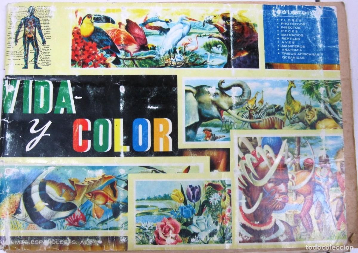 Coleccionismo &Aacute;lbumes: COLECCION DE CROMOS - VIDA Y COLOR - ALBUM