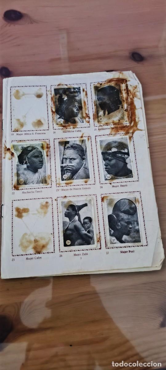 Coleccionismo &Aacute;lbumes: HOJAS DE ALBUM DE CROMOS MUY RARO , ALBUM DE RAZAS , IMPRENTA MOLINA , MADRID - 95 CROMOS DISTINTOS