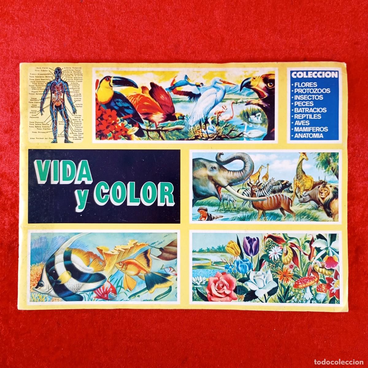 Coleccionismo &aacute;lbumes: VIDA Y COLOR - COMICROMO - ALBUM DE CROMOS INCOMPLETO / 378