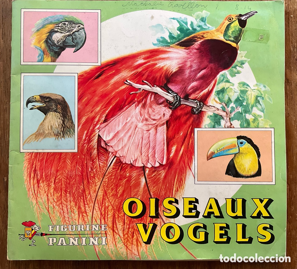 Coleccionismo &aacute;lbumes: 1978 &Aacute;lbum Panini Oiseaux - Vogels. 231 pegatinas, 77% completadas