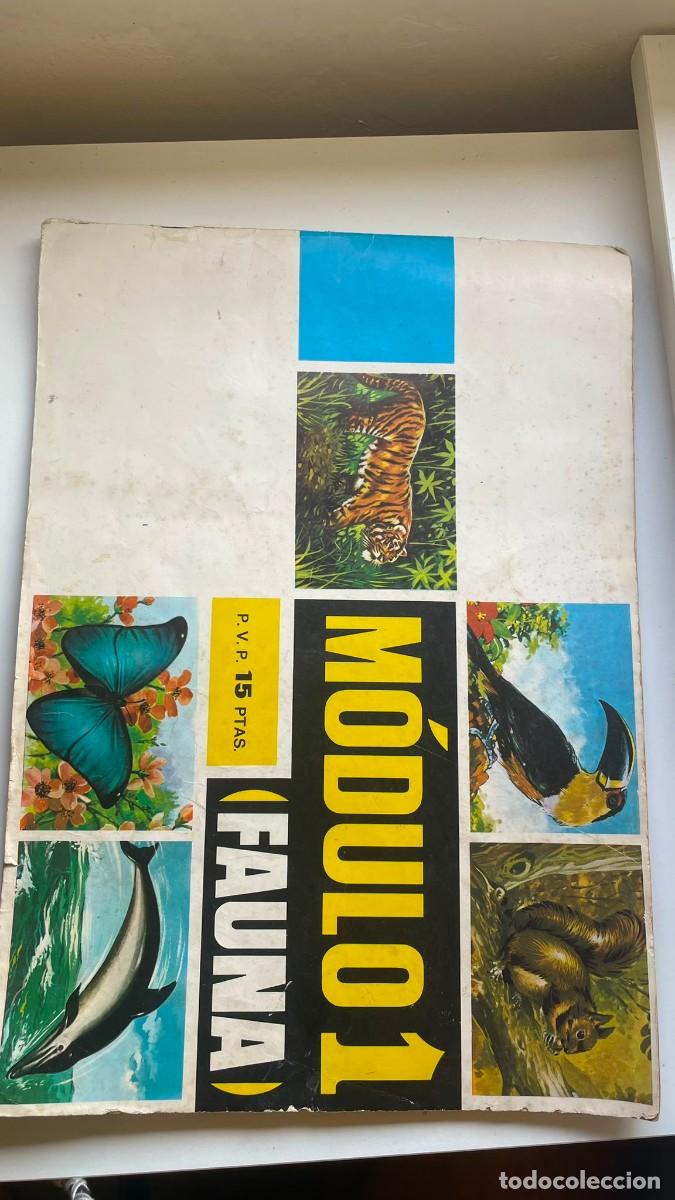 Coleccionismo &aacute;lbumes: &Aacute;lbum / Cuaderno M&oacute;dulo 1 Fauna - Edici&oacute;n Educativa / Colecci&oacute;n de Cromos de Animales (15 Ptas.)