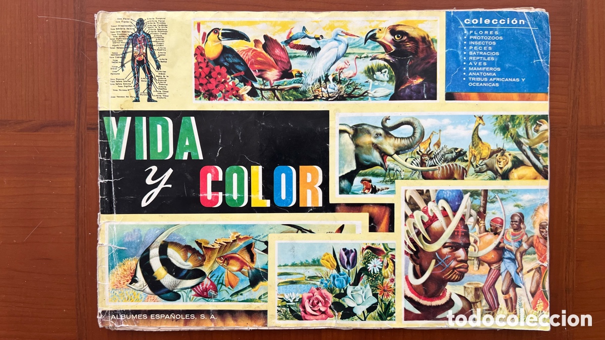 Coleccionismo &aacute;lbumes: VIDA Y COLOR ALBUM DE CROMOS INCOMPLETO.