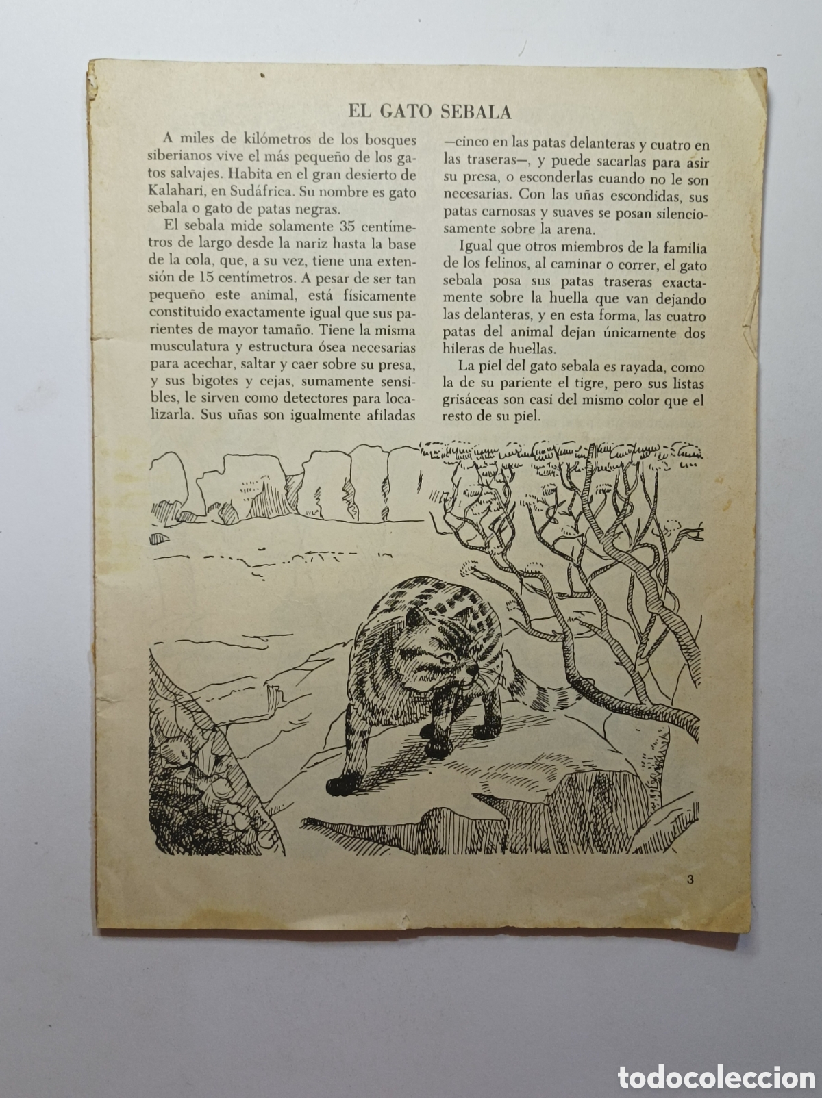 Coleccionismo &aacute;lbumes: RARO ALBUM CROMOS FELINOS. SIN PORTADAS. LEER DESCRIPCI&Oacute;N
