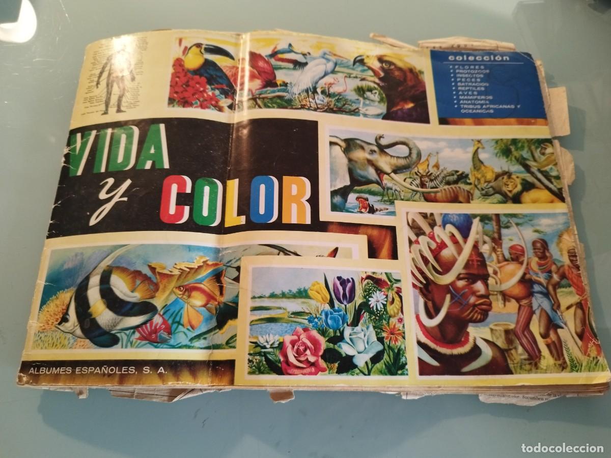 Coleccionismo &aacute;lbumes: Antiguo album de cromos Vida y color. En mal estado. Con cromos , incompleto.