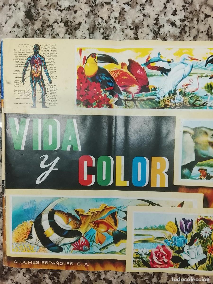 Coleccionismo &aacute;lbumes: ALBUN CROMOS VIDA Y COLOR