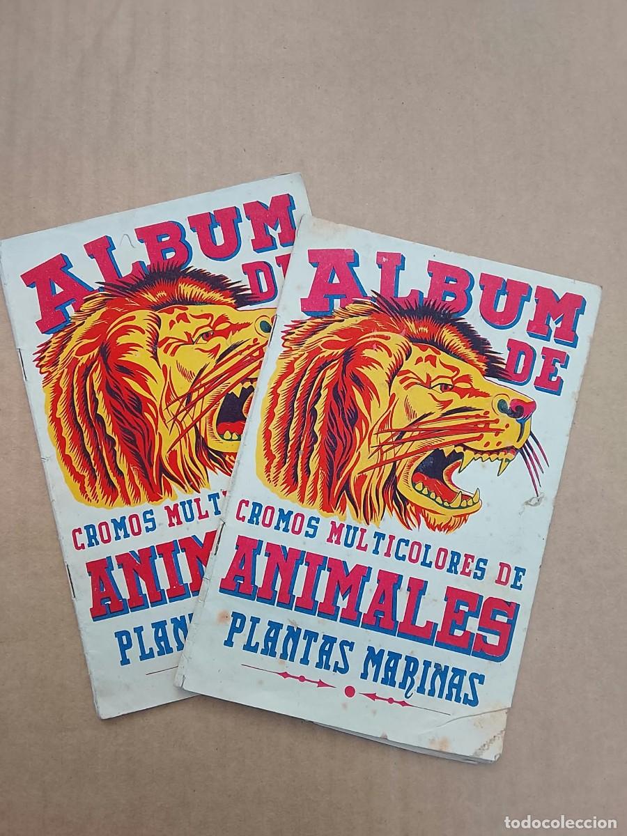 Coleccionismo &aacute;lbumes: ALBUN DE CROMOS MULTICOLORES