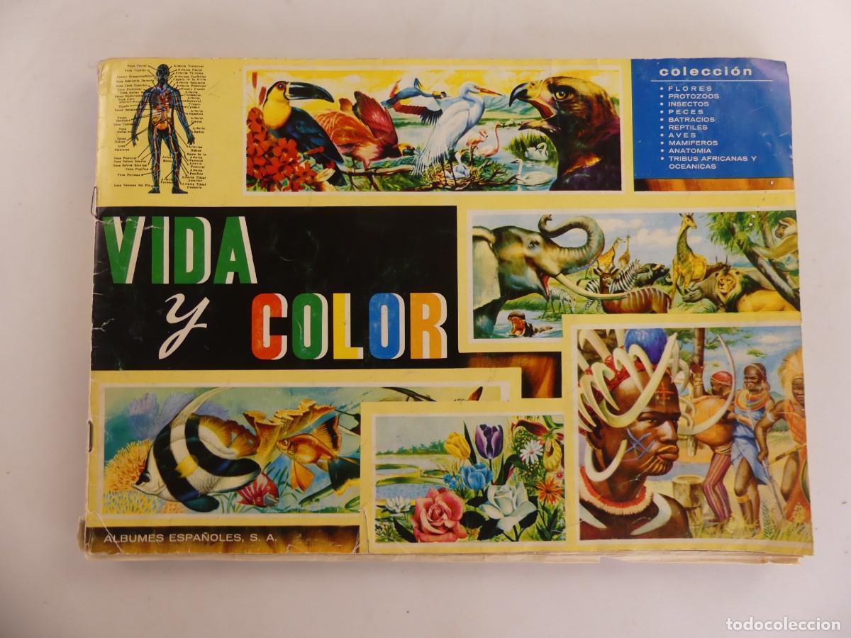 Colecionismo Cadernetas: ALBUM DE CROMOS INCOMPLETO - VIDA Y COLOR